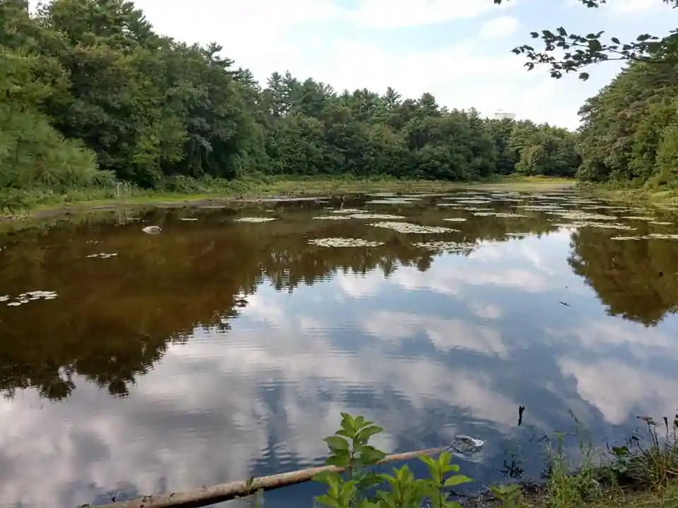 Cranberry Watershed Preserve
