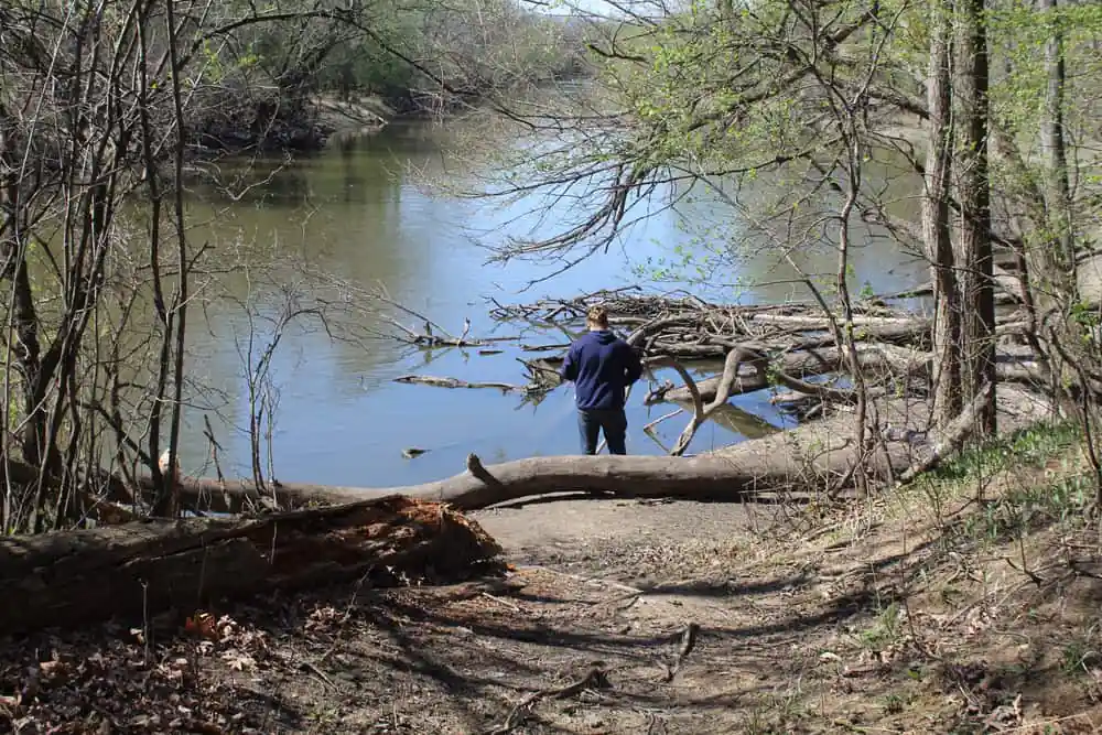 Dam No. 4 Woods East