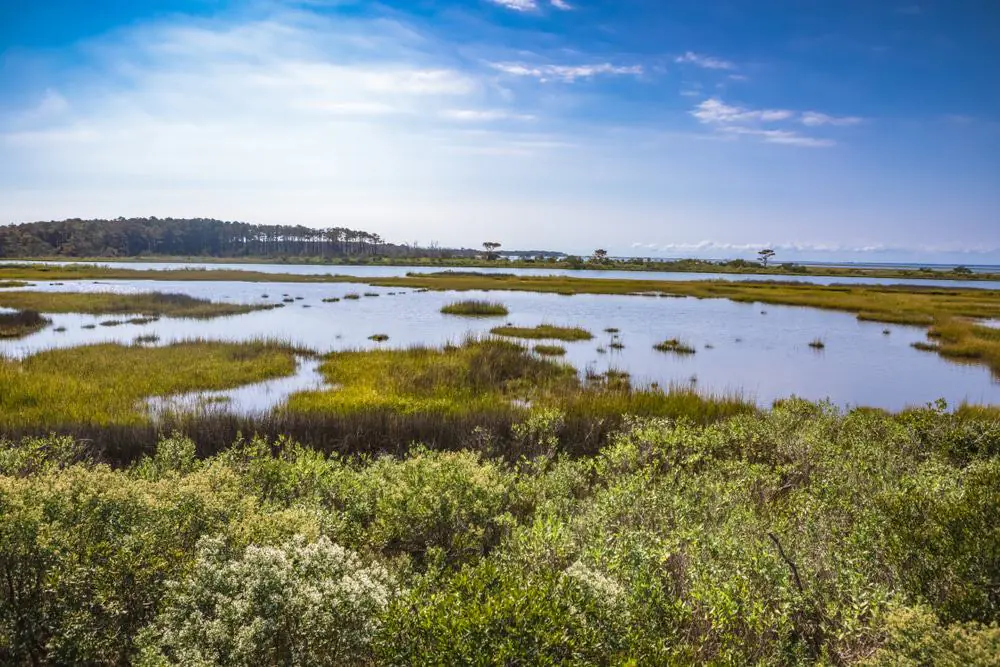 Delmarva Peninsula