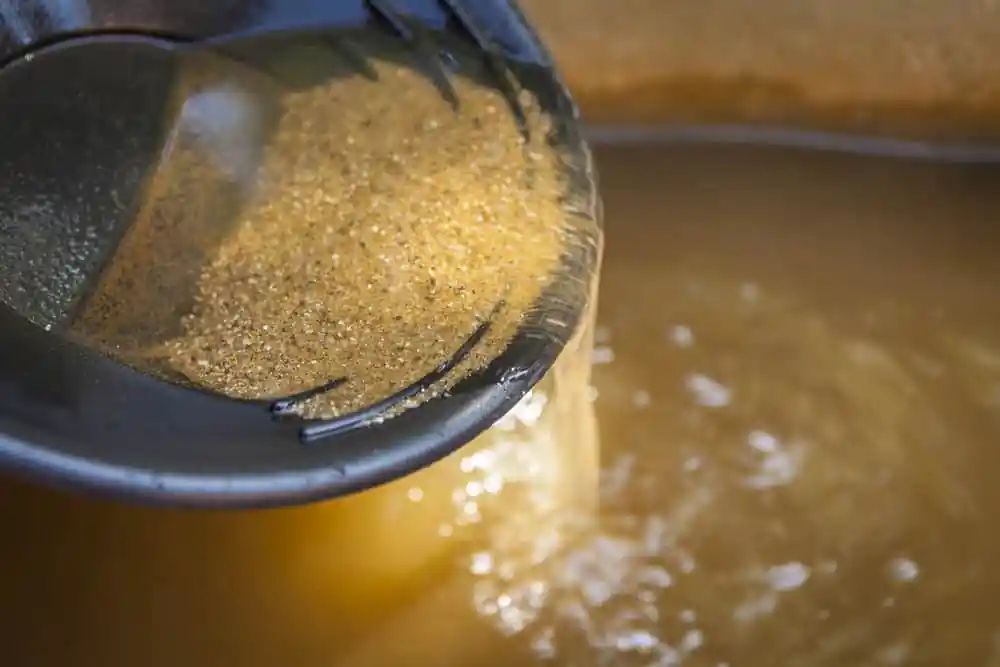 Gold Panning
