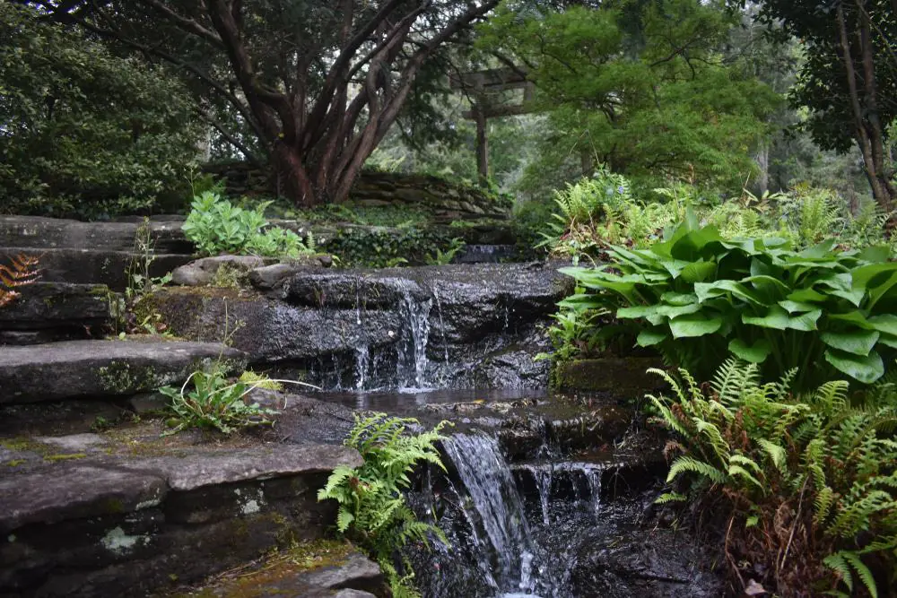 Dunaway Gardens