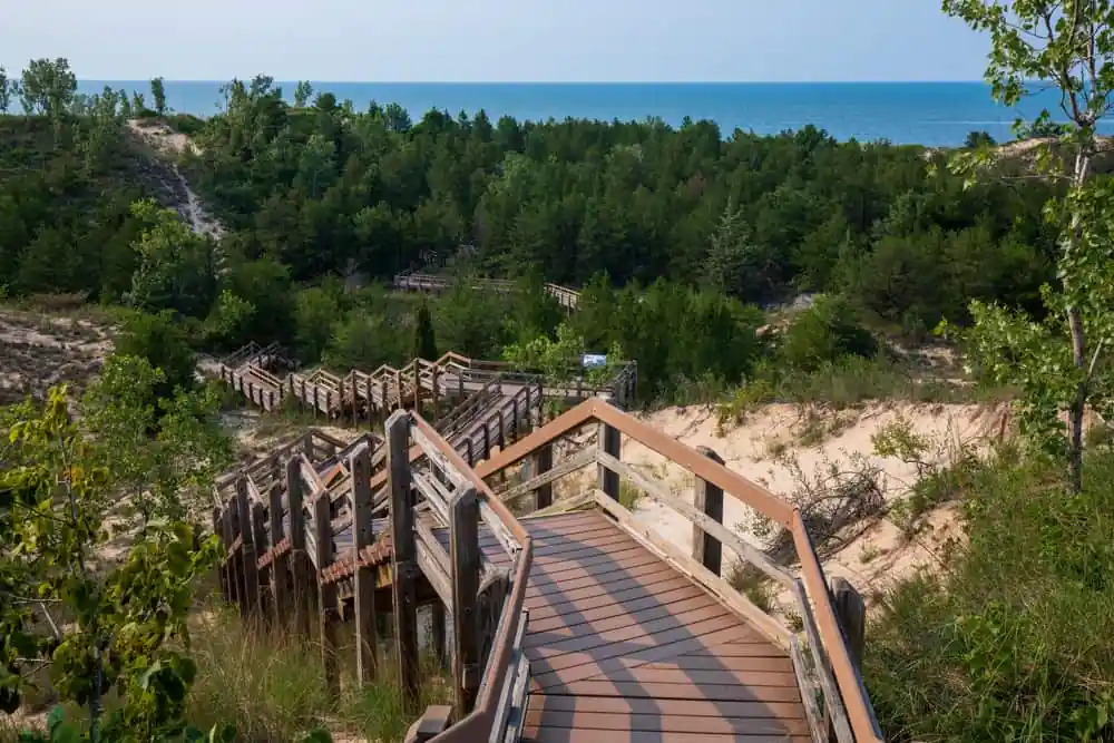 Dune Succession Trail