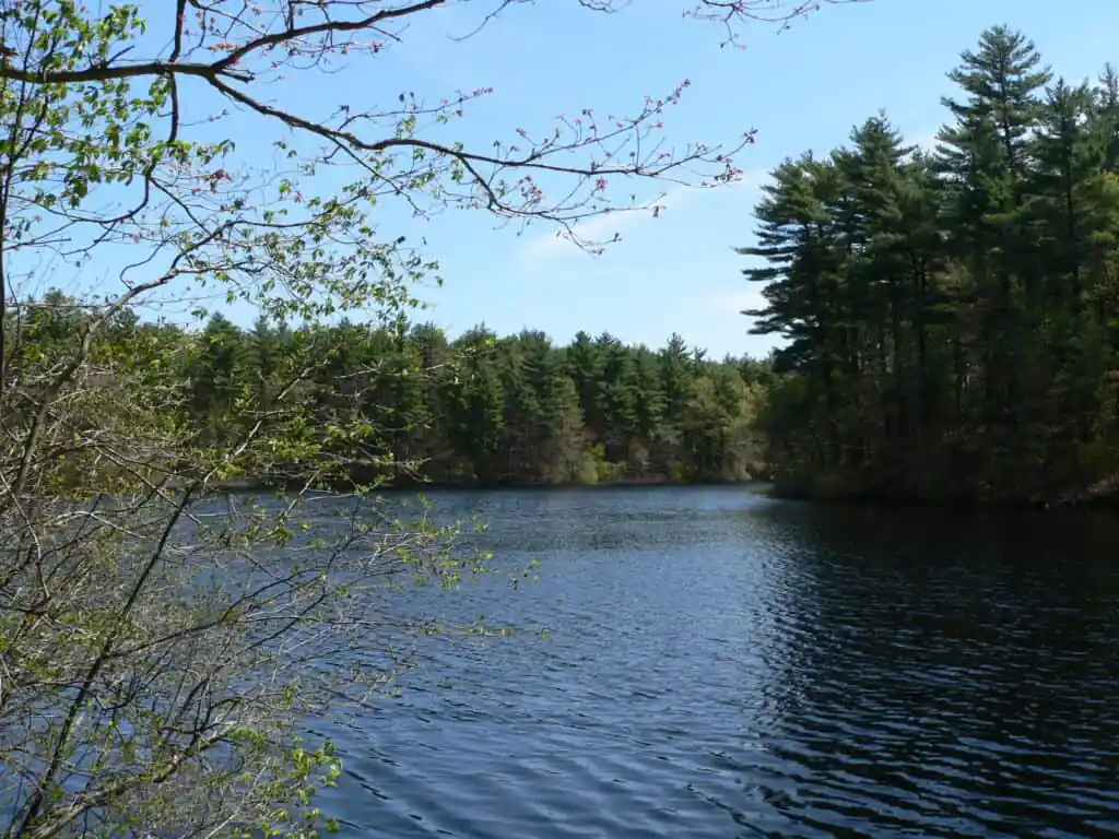 F. Gilbert Hills State Forest