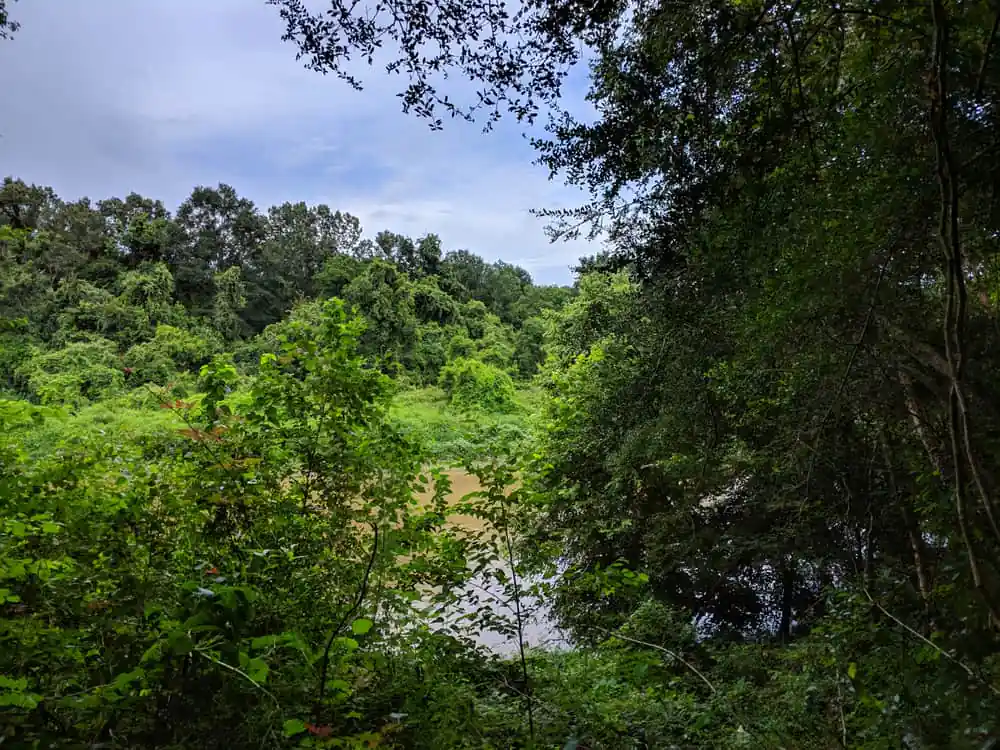 Frenchtown Road Conservation Area