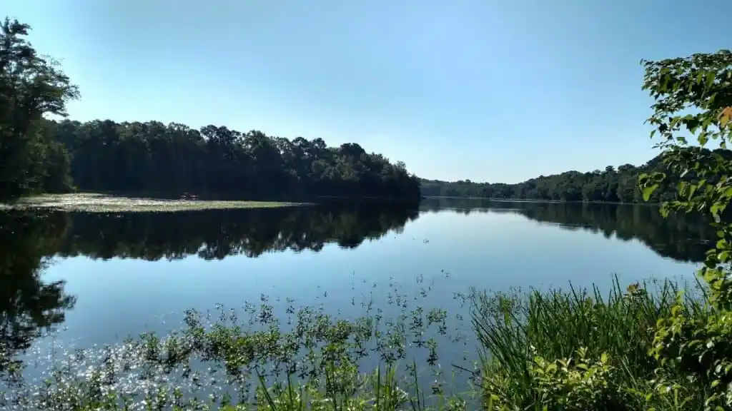 Heads Creek Reservoir