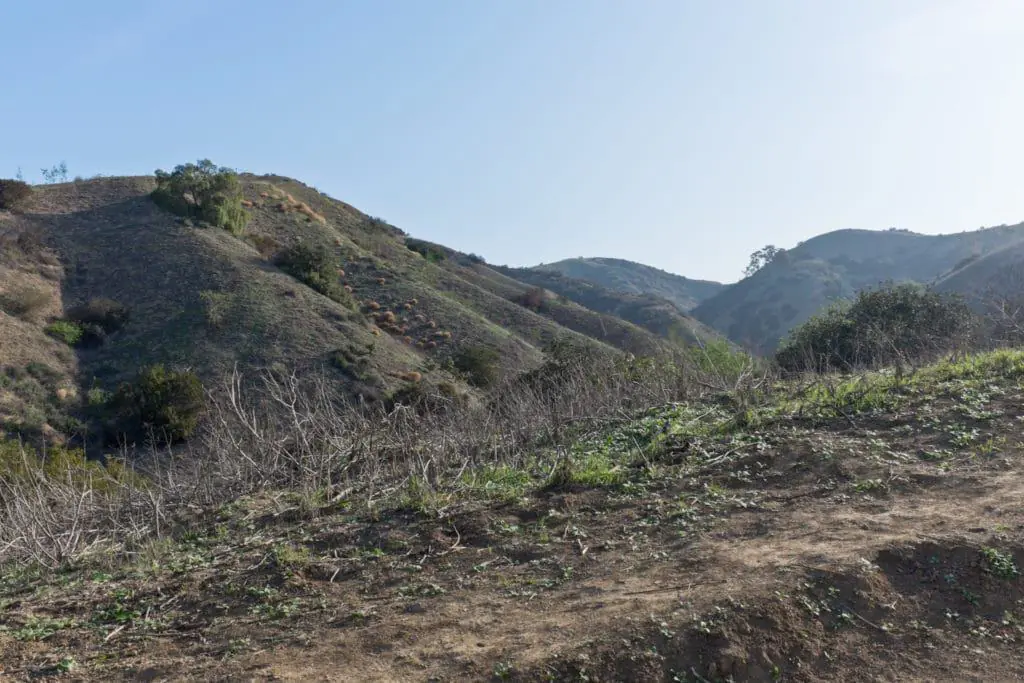 Puente Hills Preserve