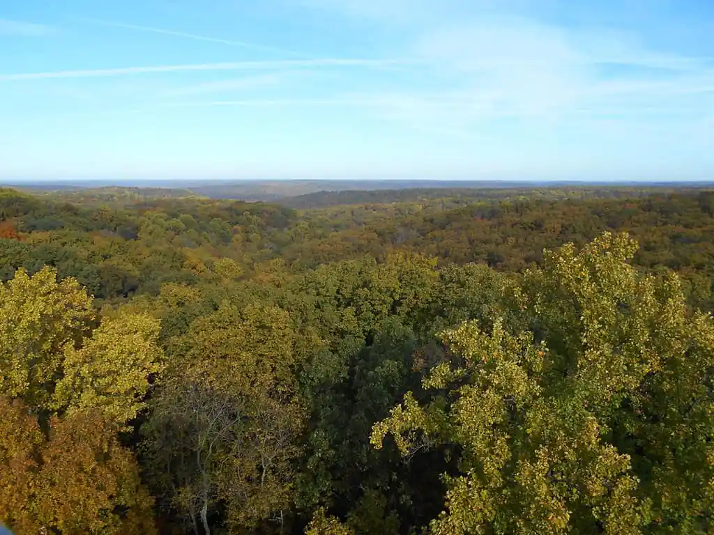 Hoosier National Forest
