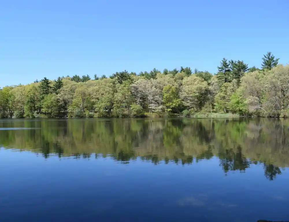 Houghtonโs Pond