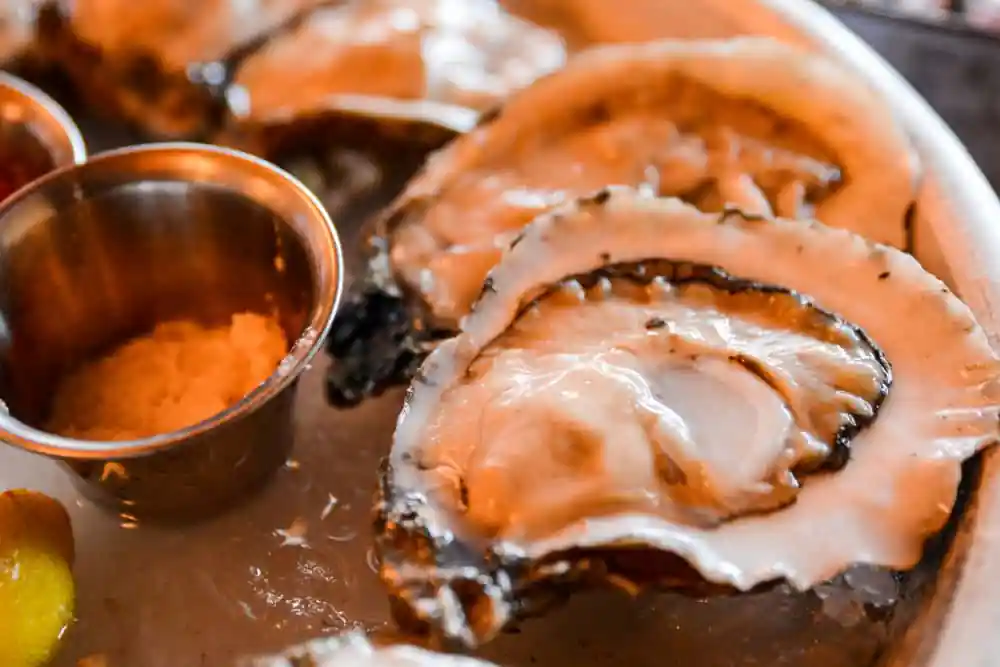 Oysters