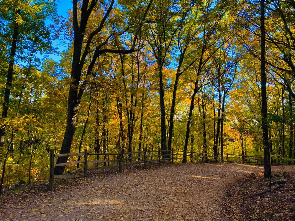 Kennesaw Mountain Hiking Trail