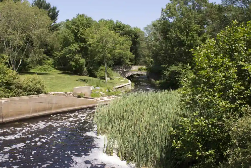 Luddamβs Ford Park