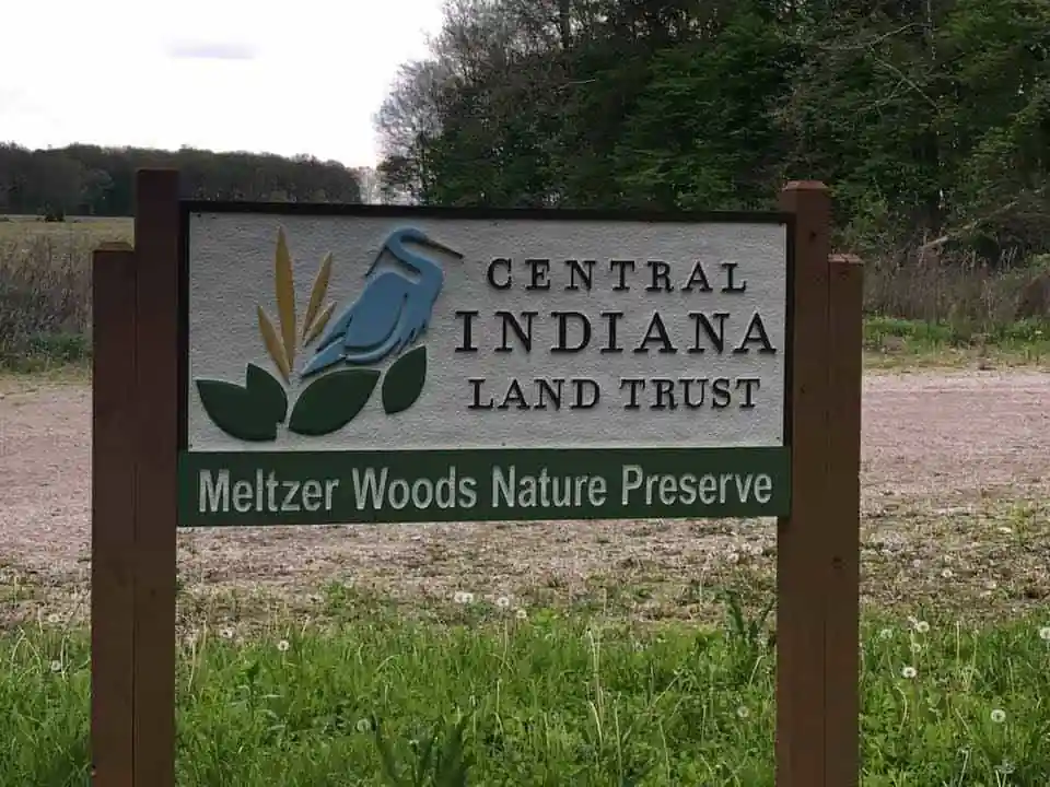 Meltzer Woods