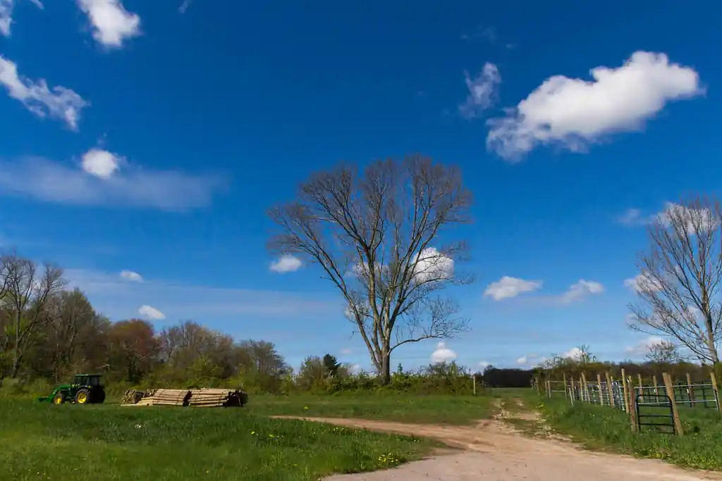 Moose Hill Farm