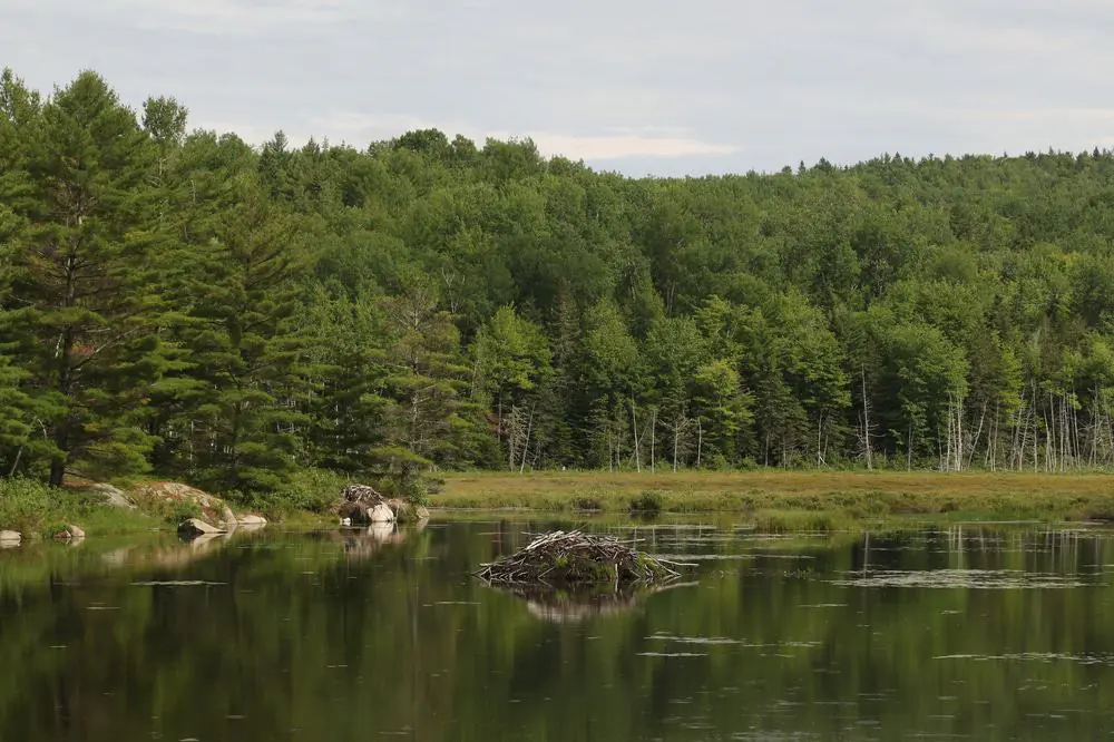 Moosehorn National Wildlife Refuge