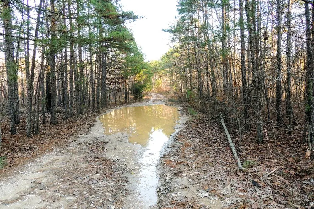 Ouachita National Recreation Trail