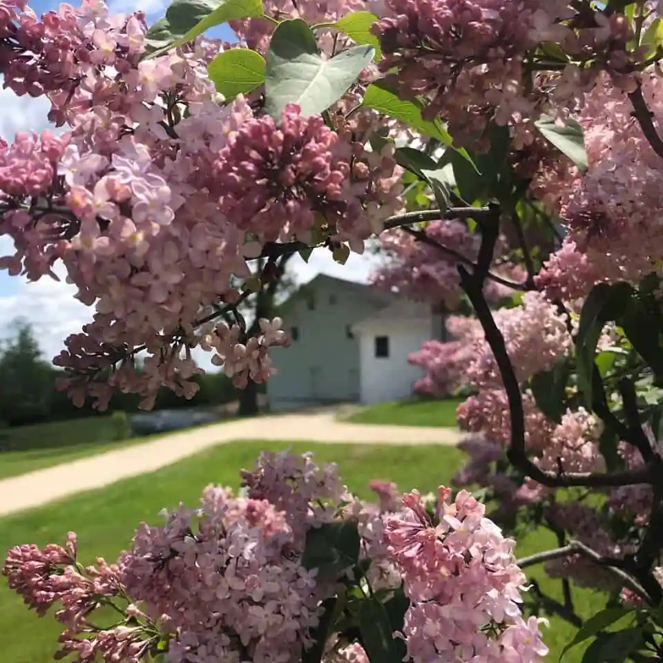 Sabbathday Lake Shaker Village