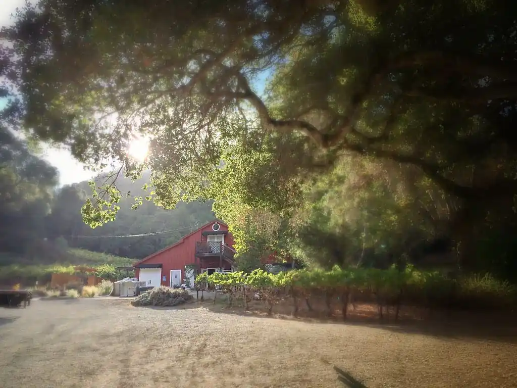 Chouinard Vineyards