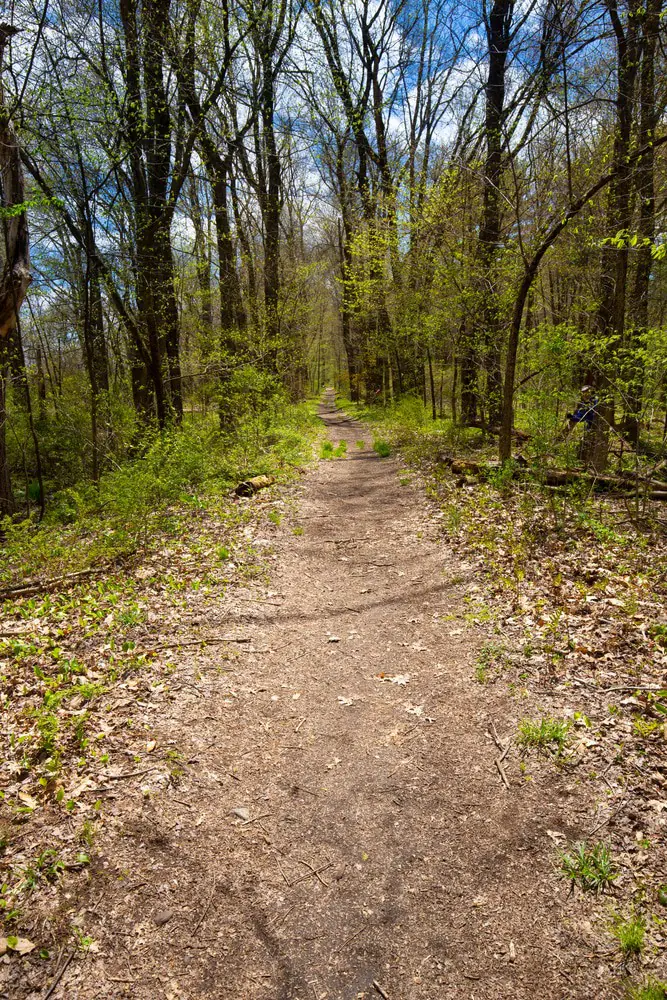 Shenipsit Trail
