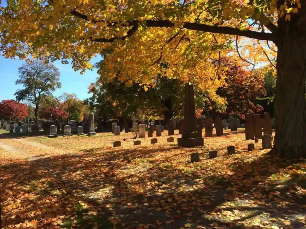 The Olde Burying Yarde
