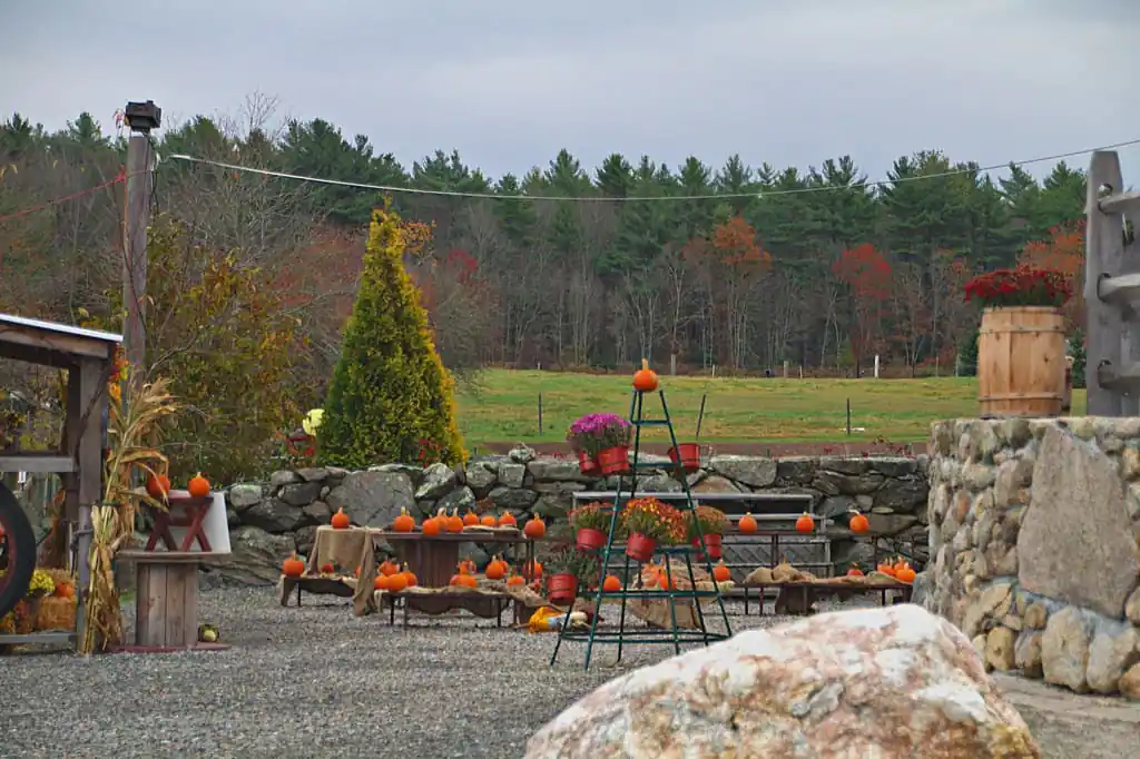 Silverbrook Farm