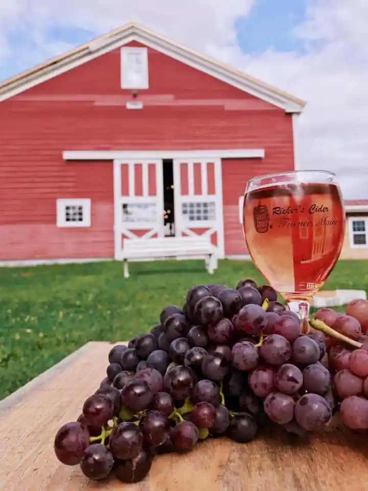 Vista Of Maine Vineyard And Tasting Room