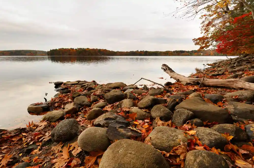 Scenery along Weir Hill Trails