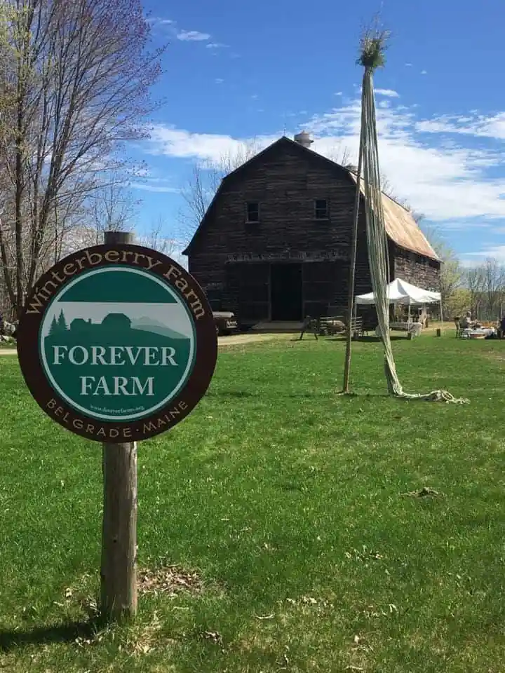 Winterberry Farm