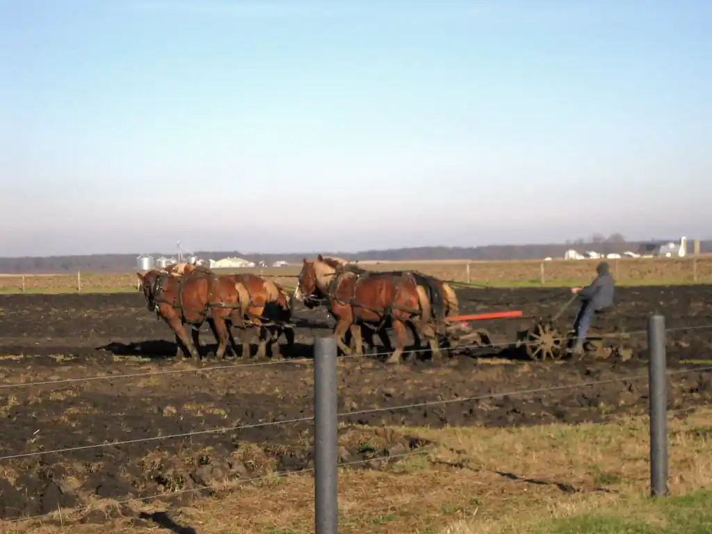 Arthur, Illinois