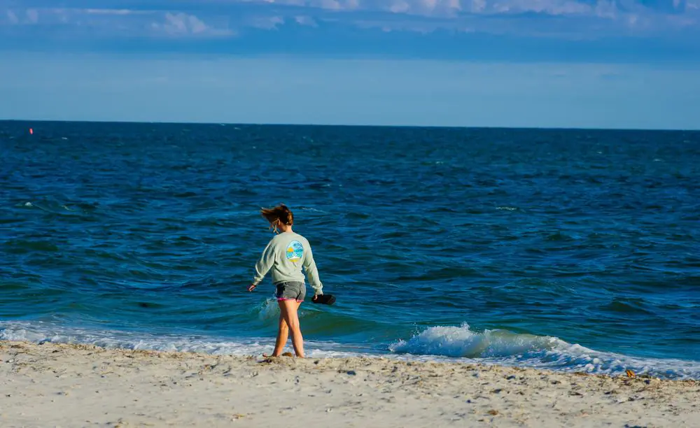 Bass River Beach