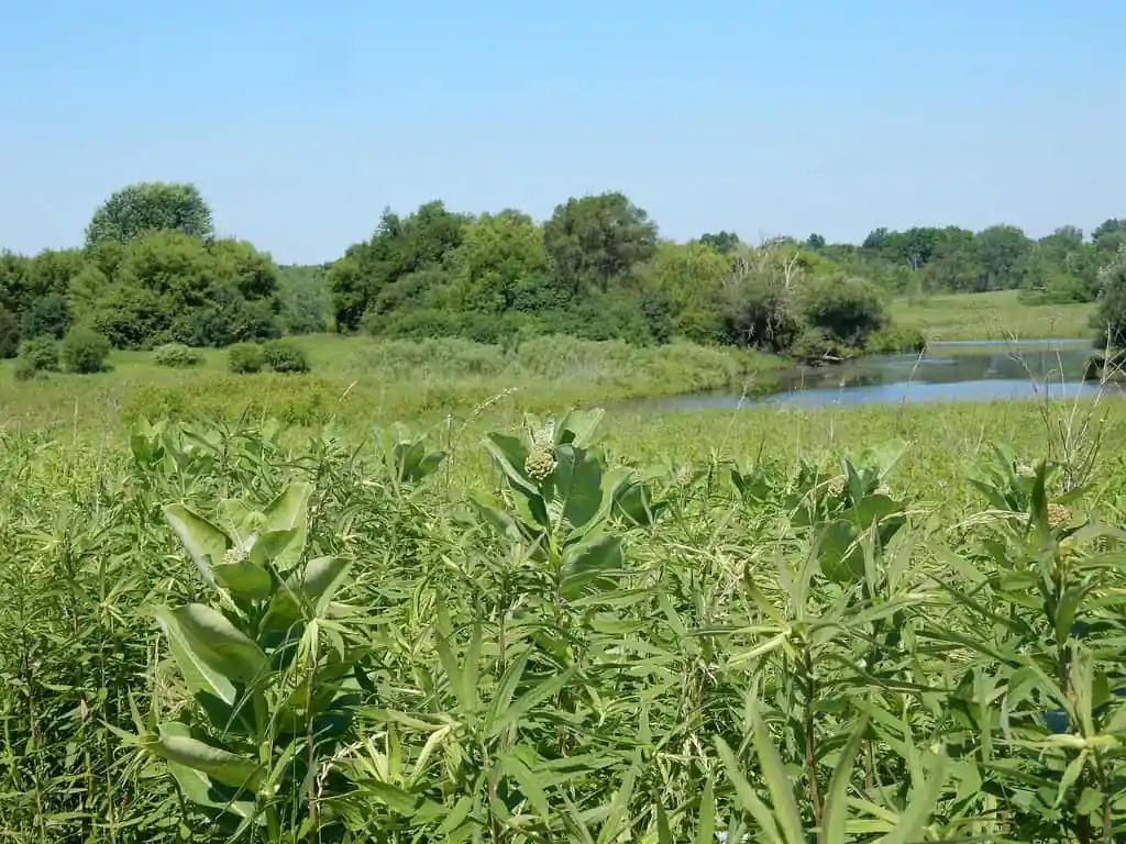 Buffalo Creek Forest Preserve