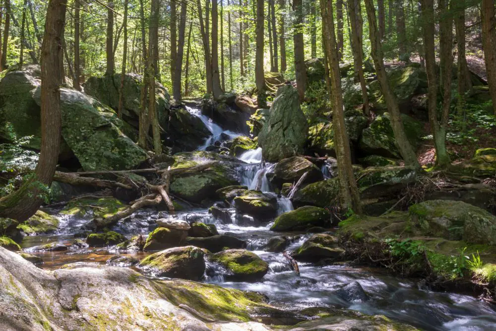 Buttermilk Falls