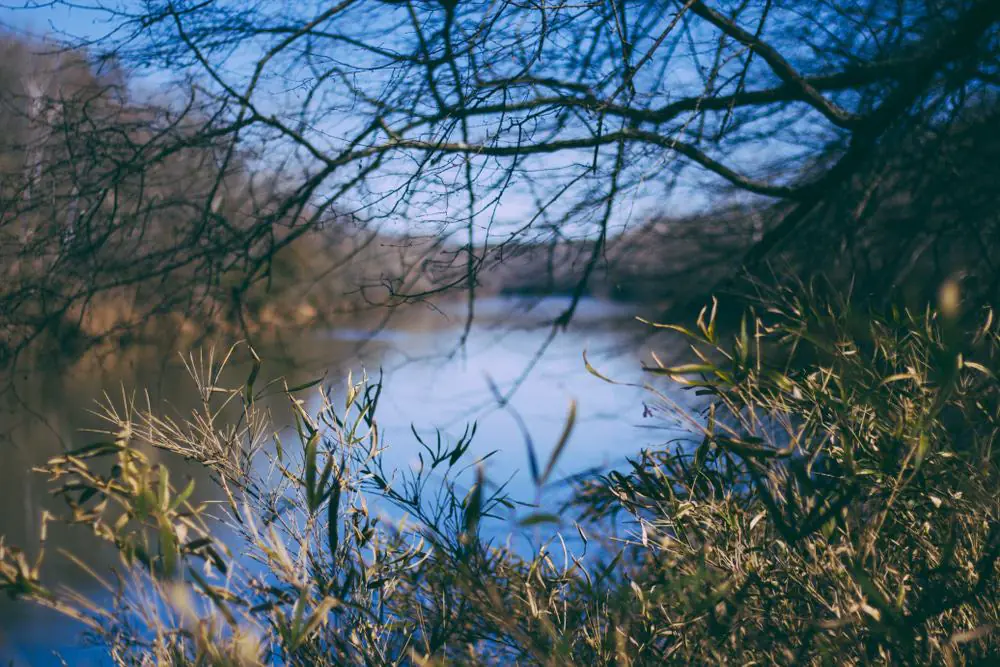 Chattahoochee Bend State Park