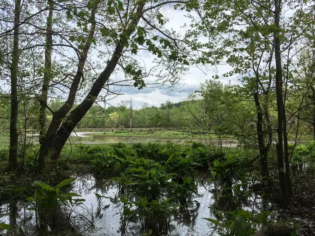 Constitution Lakes