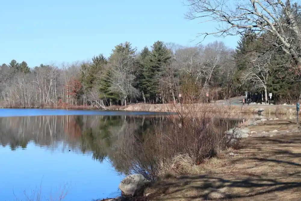 D.W. Field Park