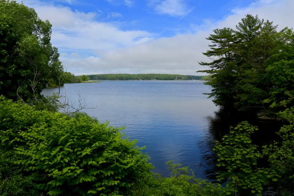 Mackworth Island