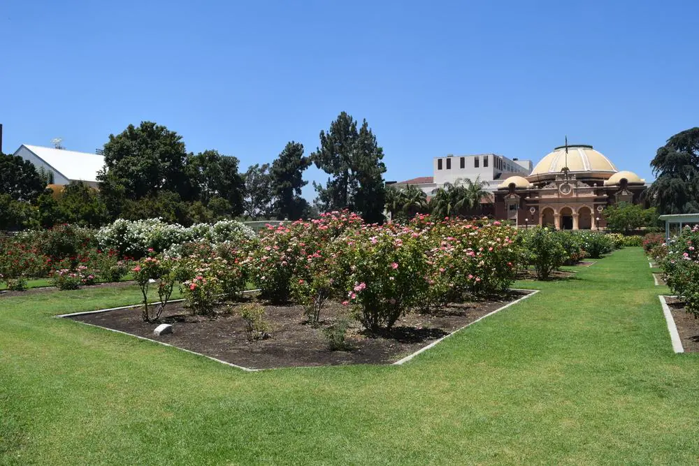 Exposition Park, Los Angeles
