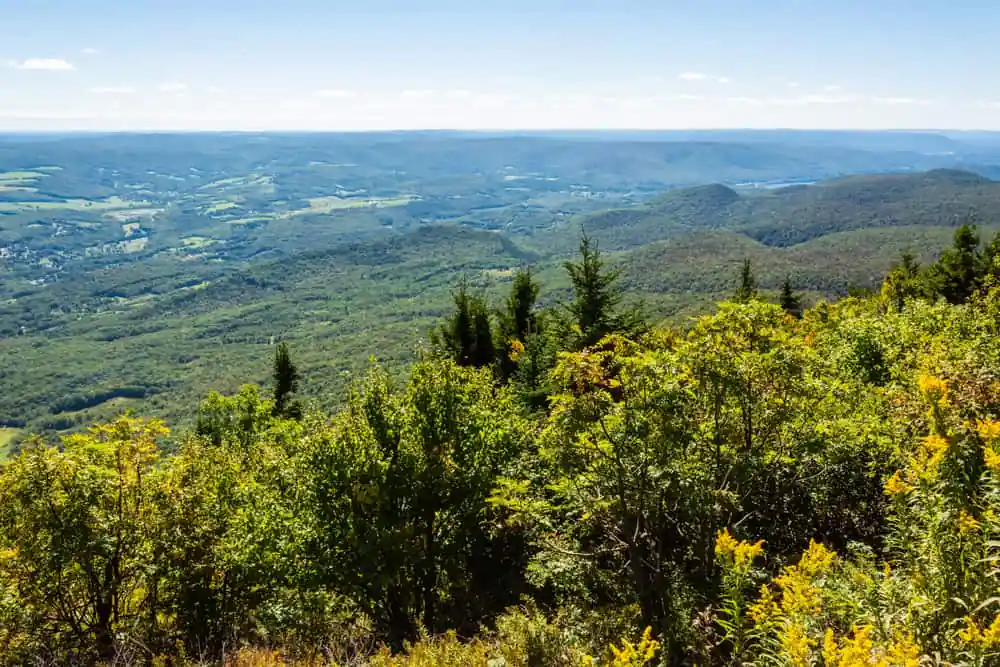 Hoosac Range Trail