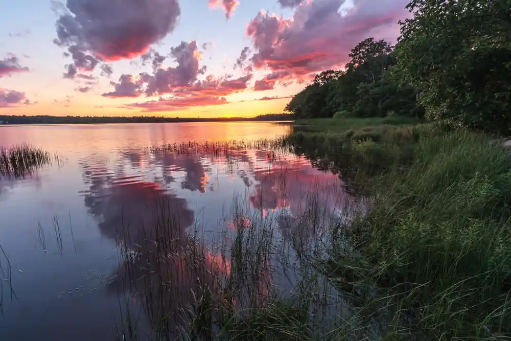 Lake Nippenicket