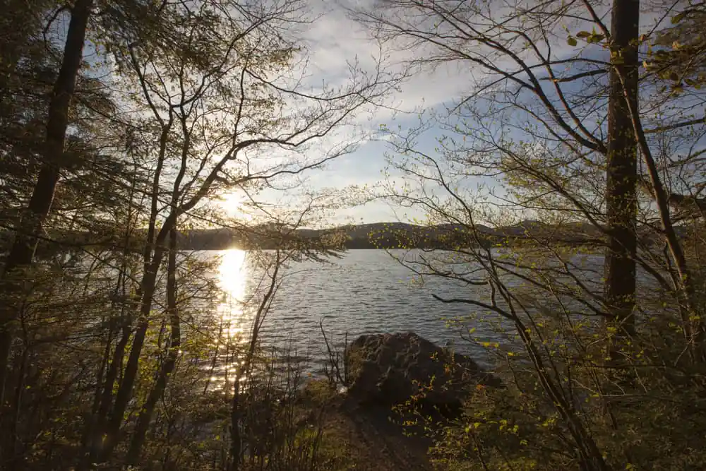 Lake Onota