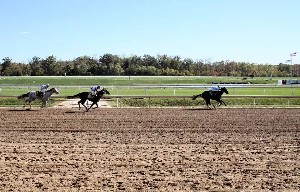 Laurel Park Race Track