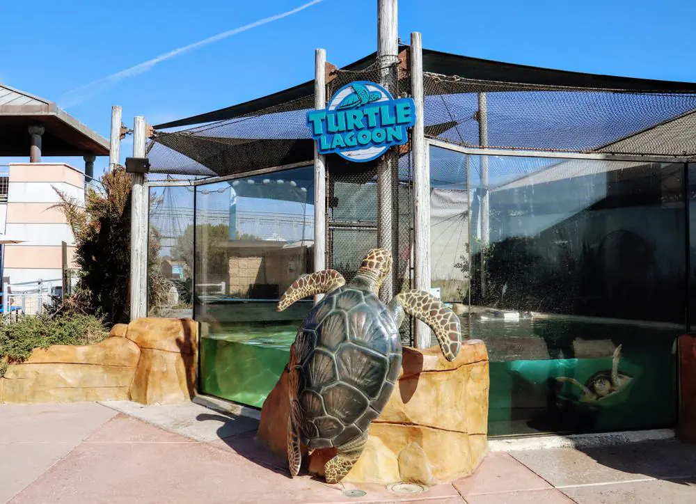 Living Coast Discovery Center