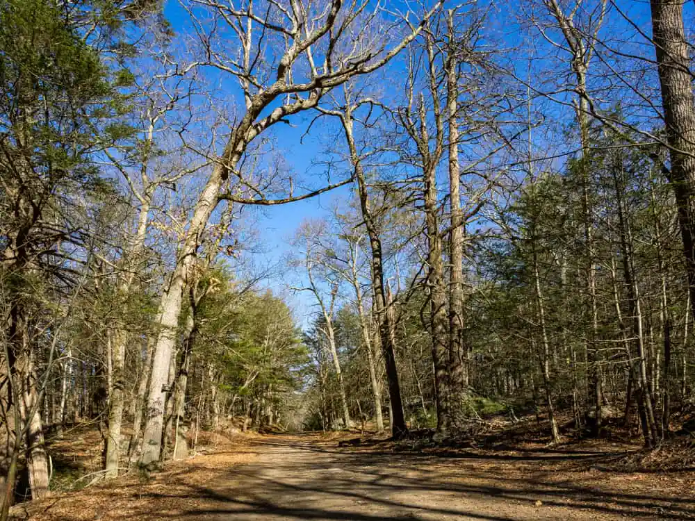 Lynn Woods Reservation