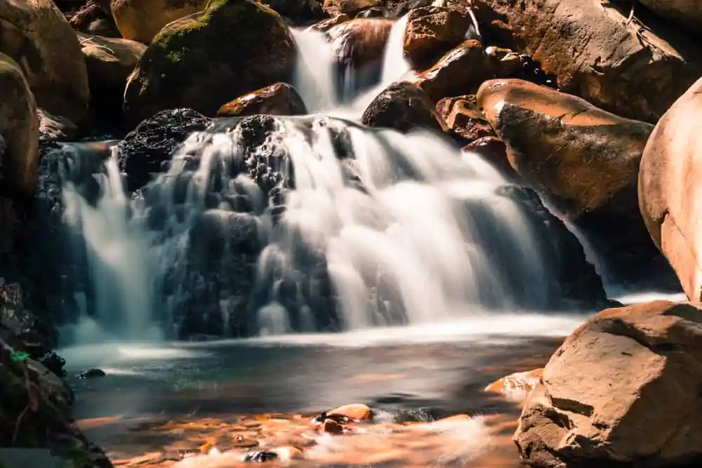 Uvas Canyon County Park