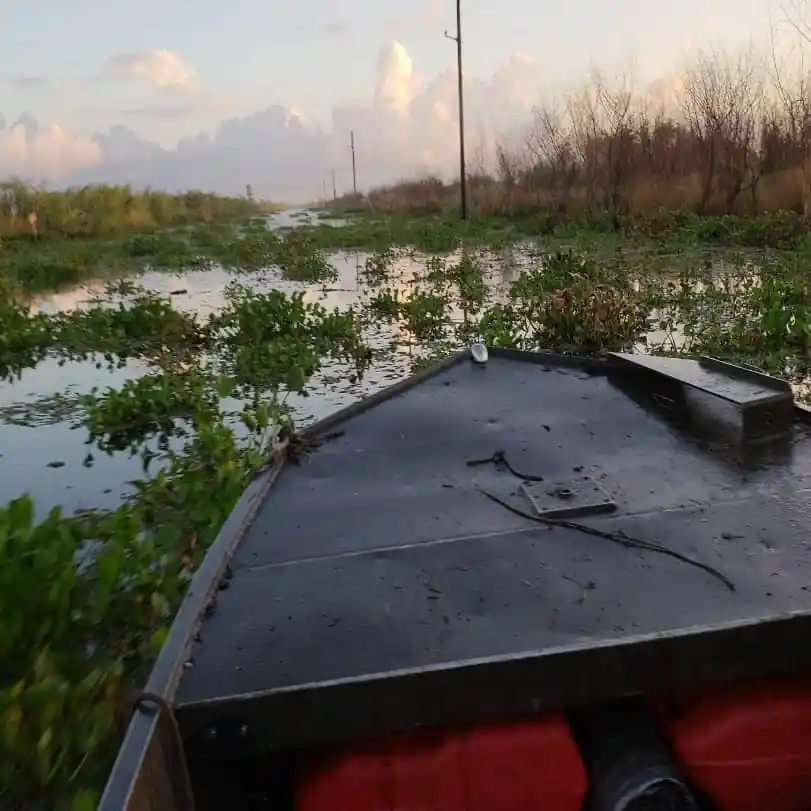 Mitchellβs Swamp Adventures