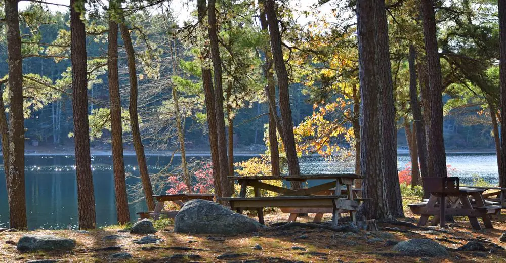 Myles Standish State Forest