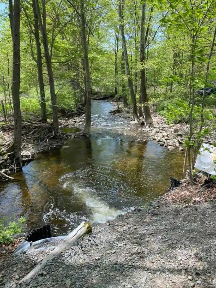 Nonnewaug Falls