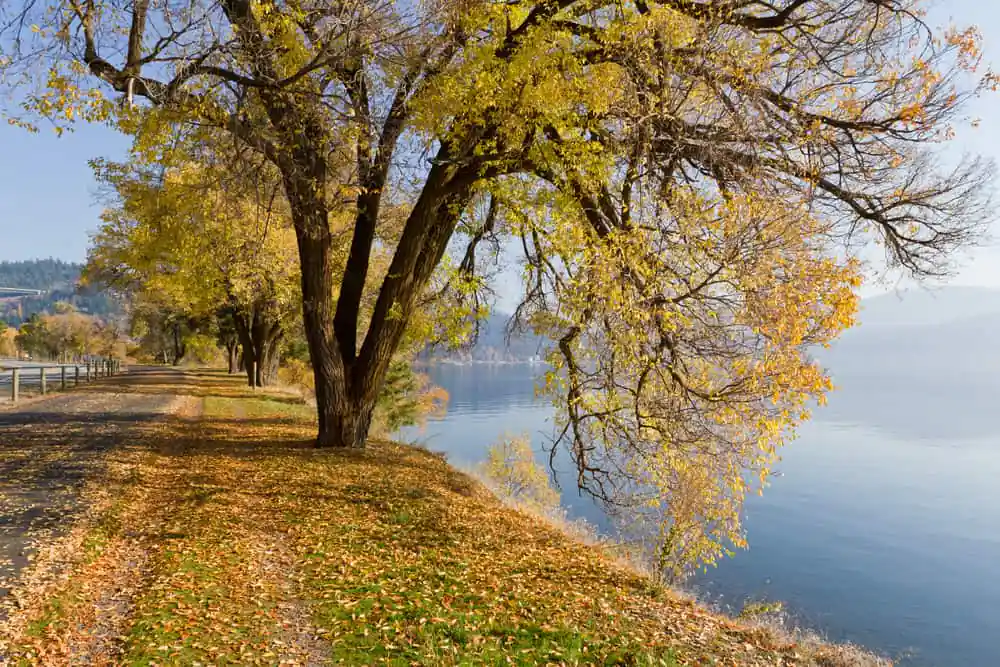 North Idaho Centennial Trail