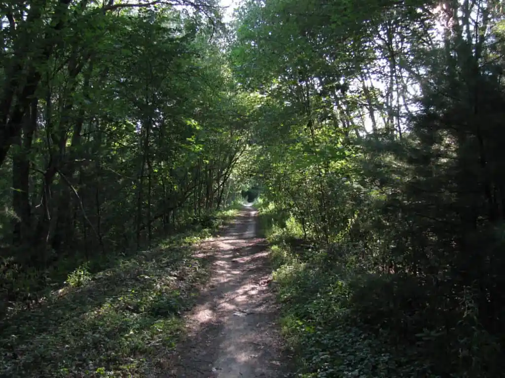 Reformatory Branch Trail