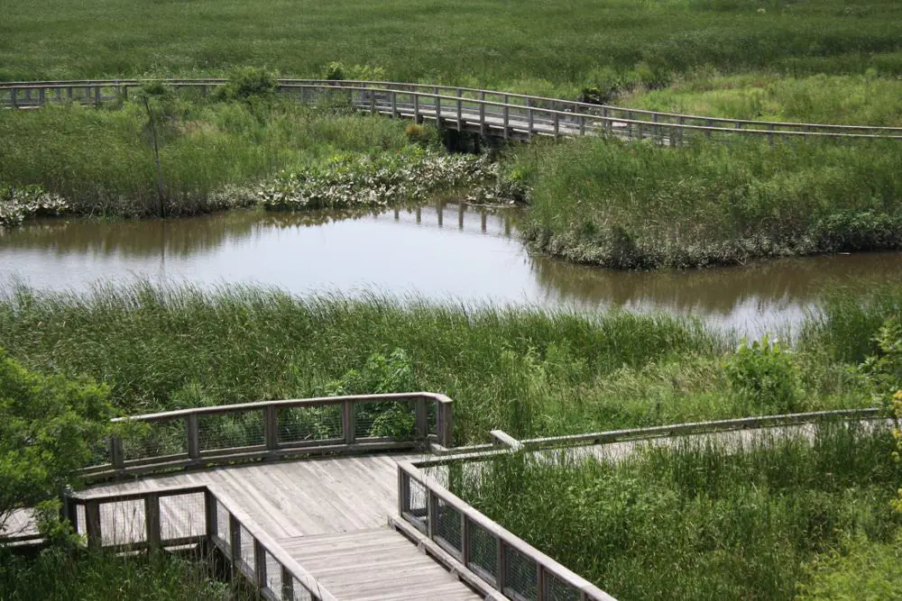 Russell W. Peterson Urban Wildlife Refuge