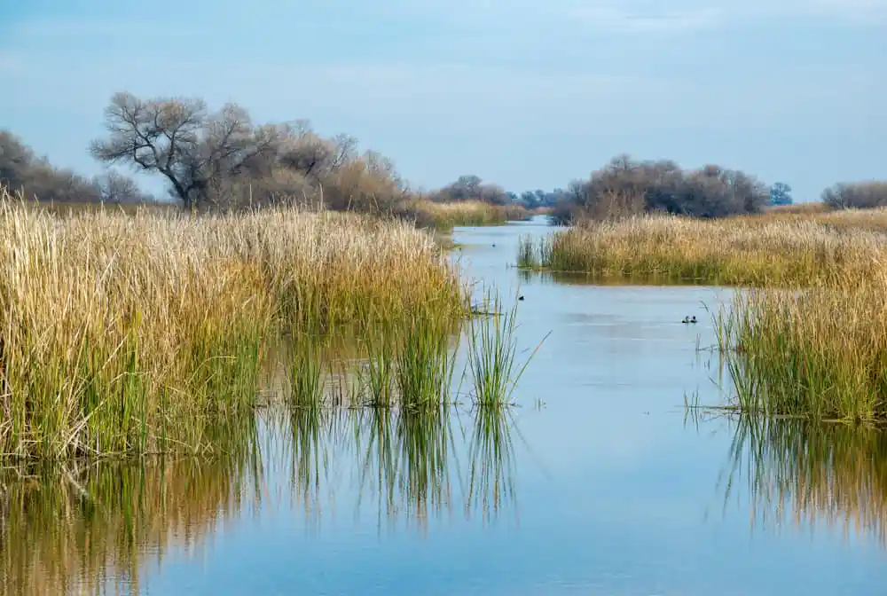 Kern National Wildlife Refuge